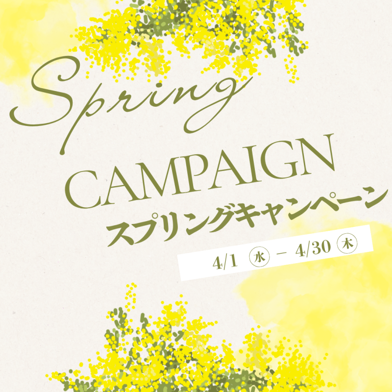 スプリングキャンペーン