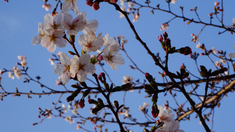 うるの投稿画像3