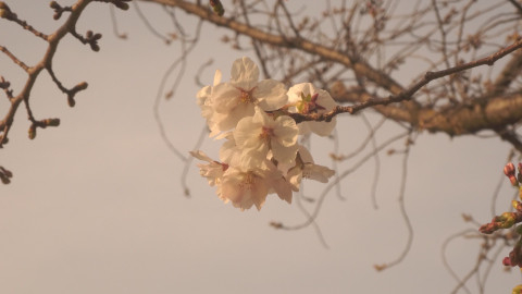 うるの投稿画像2