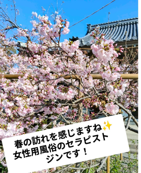 春の余韻 ジンの投稿画像