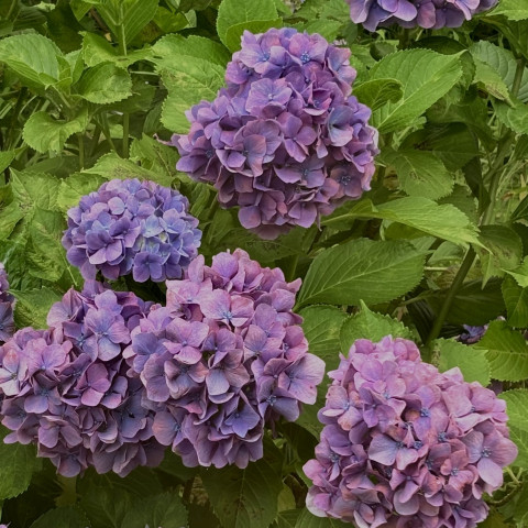 【高松.香川の女風】雨が沢山降る時期☔️ リコの投稿画像