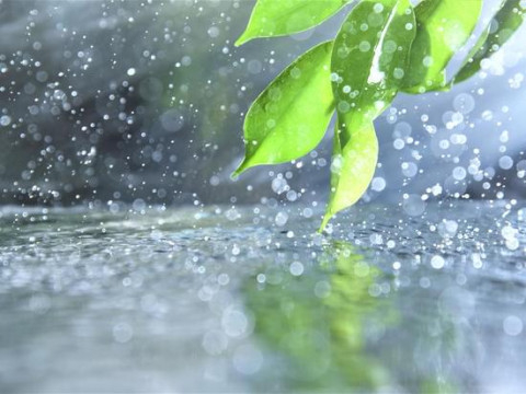 雨の日☔【徳島　女風】 タクミ（徳島）の投稿画像